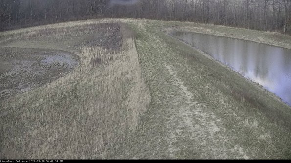 Cell 4 to Basin_24-03-28_18-49-35-21