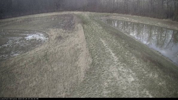 Cell 4 to Basin_24-03-28_19-56-35-17