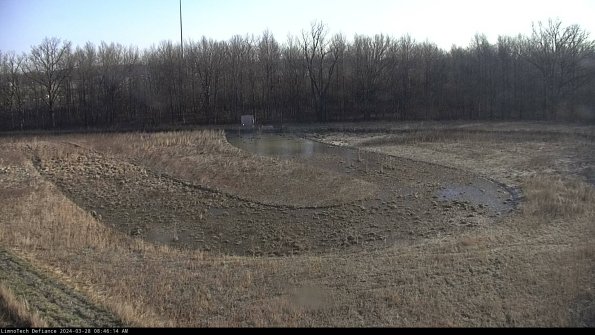 Cell 4_24-03-28_08-46-15-19