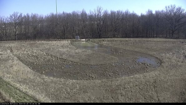 Cell 4_24-03-28_10-26-43-17