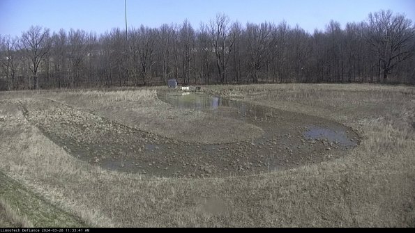 Cell 4_24-03-28_11-33-42-18