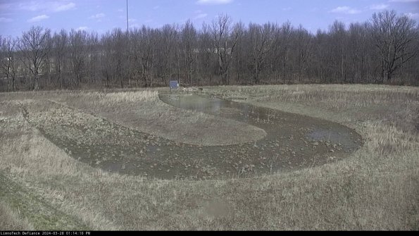 Cell 4_24-03-28_13-14-11-16