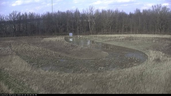 Cell 4_24-03-28_17-08-37-16