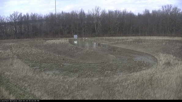 Cell 4_24-03-28_17-42-07-17