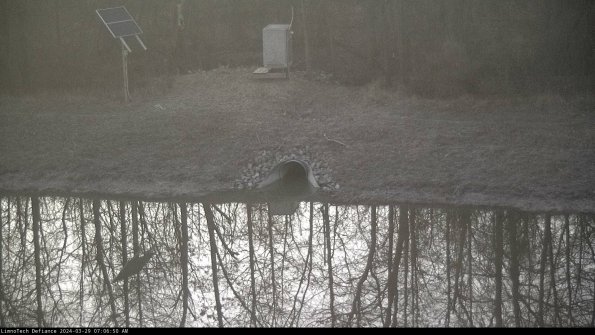 Basin Inflow_24-03-29_07-06-51-17