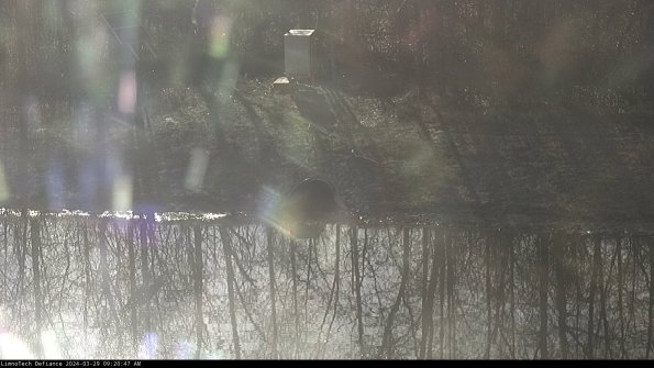 Basin Inflow_24-03-29_09-20-48-43