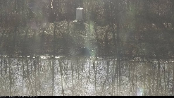 Basin Inflow_24-03-29_09-54-17-31