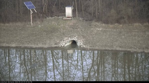 Basin Inflow_24-03-29_19-57-05-31