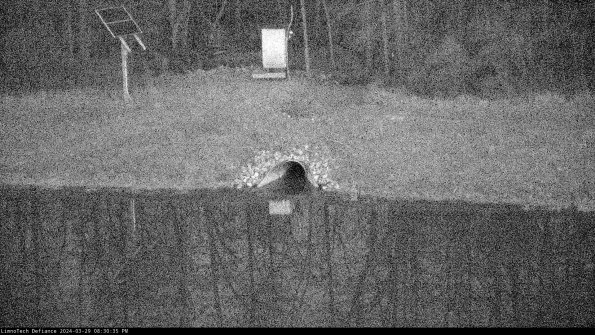 Basin Inflow_24-03-29_20-30-36-43