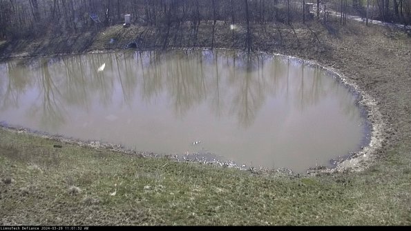 Basin Right_24-03-29_11-01-33-16