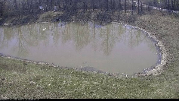 Basin Right_24-03-29_11-35-02-15