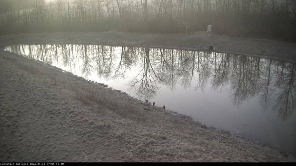 Basin_24-03-29_07-06-36-32