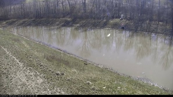 Basin_24-03-29_11-01-03-30