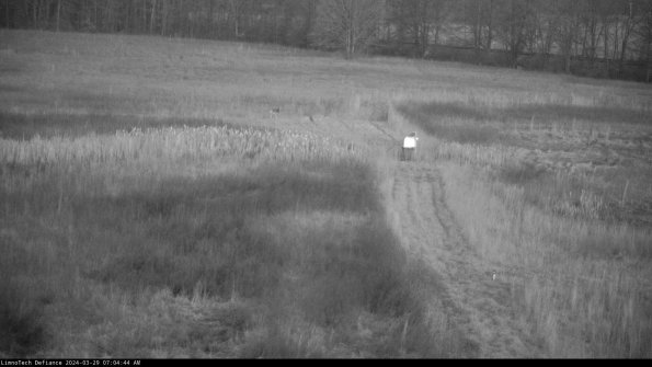 Cell 1 to 2_24-03-29_07-04-45-18