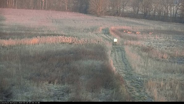 Cell 1 to 2_24-03-29_07-38-15-19