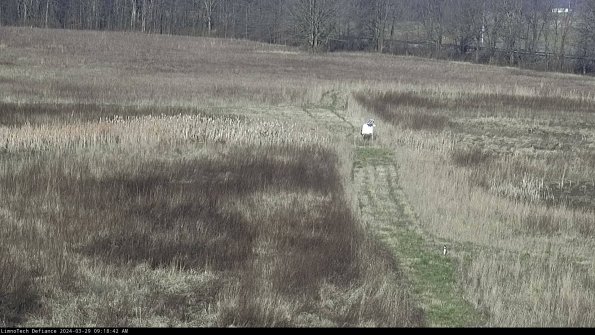 Cell 1 to 2_24-03-29_09-18-43-17