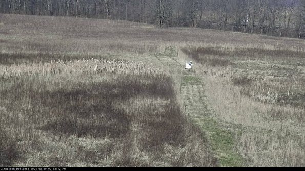 Cell 1 to 2_24-03-29_09-52-13-15