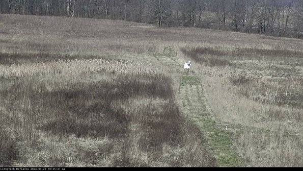 Cell 1 to 2_24-03-29_10-25-42-17