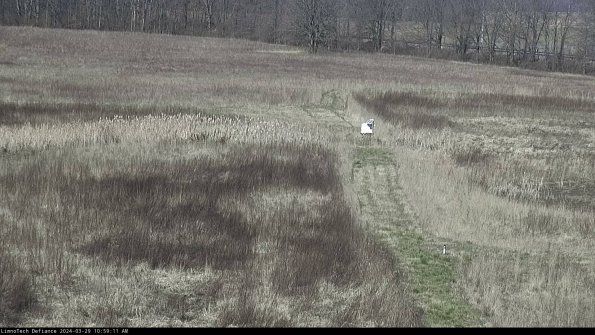 Cell 1 to 2_24-03-29_10-59-12-15