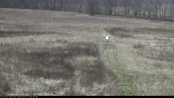 Cell 1 to 2_24-03-29_12-39-41-18