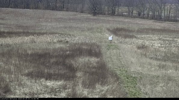 Cell 1 to 2_24-03-29_13-13-09-16