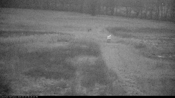 Cell 1 to 2_24-03-29_20-28-30-21