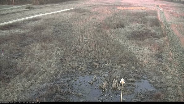 Cell 1_24-03-29_07-38-01-18