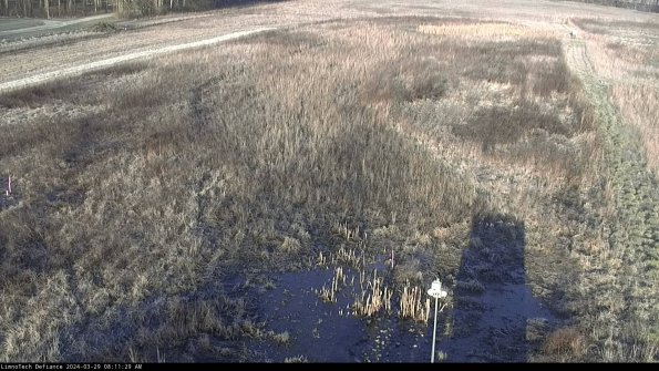 Cell 1_24-03-29_08-11-30-15