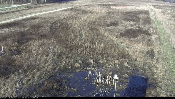 Cell 1_24-03-29_08-45-00-17