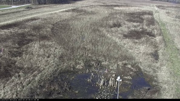 Cell 1_24-03-29_09-51-59-17