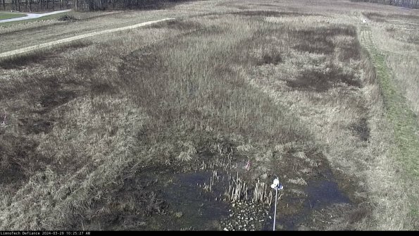 Cell 1_24-03-29_10-25-28-15