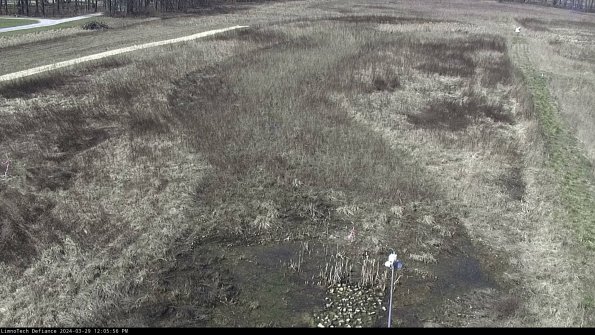 Cell 1_24-03-29_12-05-57-18