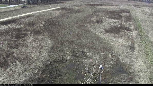 Cell 1_24-03-29_12-39-27-16