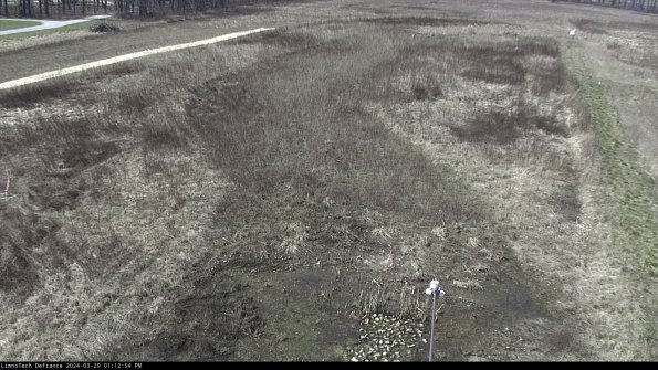 Cell 1_24-03-29_13-12-55-18