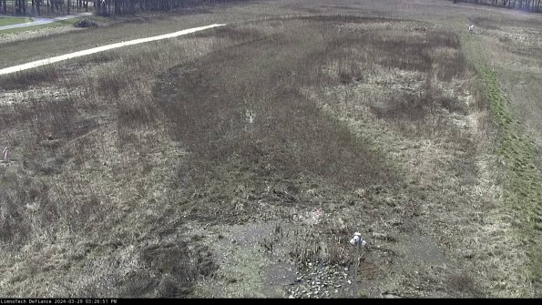 Cell 1_24-03-29_15-26-52-19