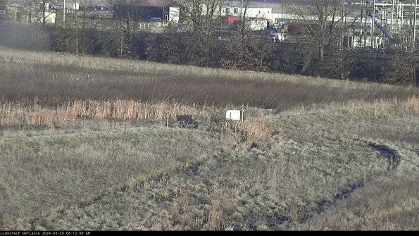 Cell 2 to 3_24-03-29_08-12-10-33