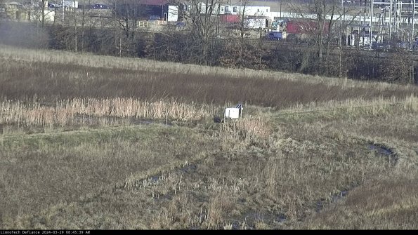 Cell 2 to 3_24-03-29_08-45-40-18