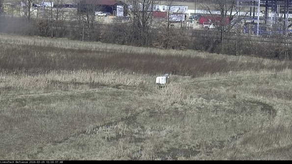 Cell 2 to 3_24-03-29_10-59-38-35