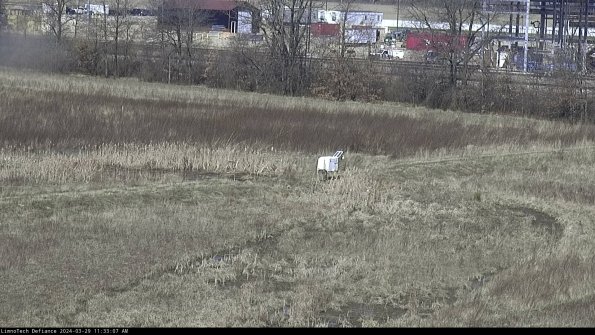 Cell 2 to 3_24-03-29_11-33-08-23