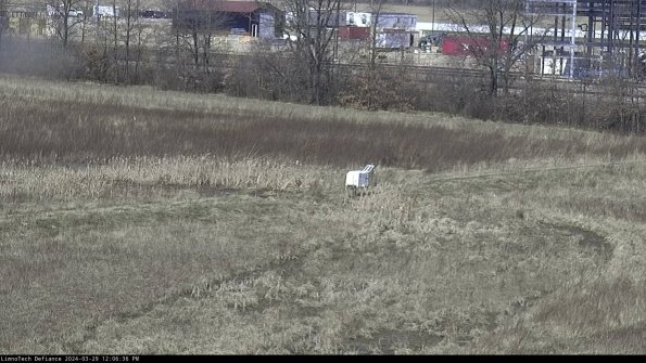 Cell 2 to 3_24-03-29_12-06-37-29