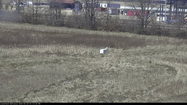 Cell 2 to 3_24-03-29_13-13-35-22