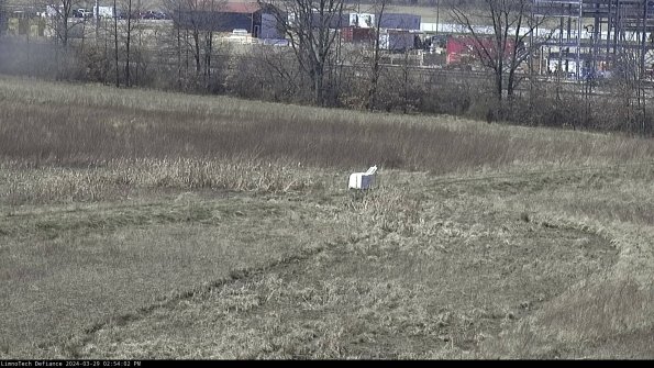 Cell 2 to 3_24-03-29_14-54-03-21