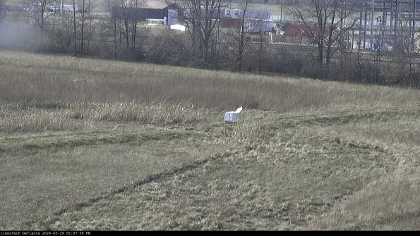 Cell 2 to 3_24-03-29_17-08-00-25