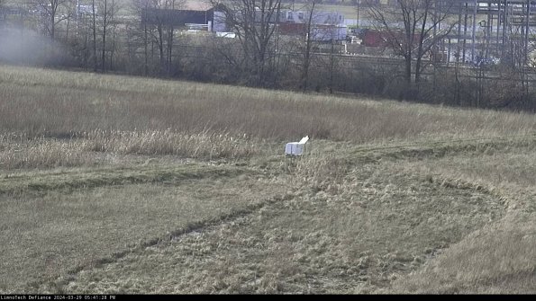 Cell 2 to 3_24-03-29_17-41-29-37