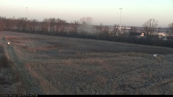 Cell 2_24-03-29_07-38-28-24