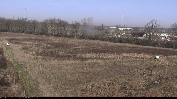 Cell 2_24-03-29_09-18-56-28