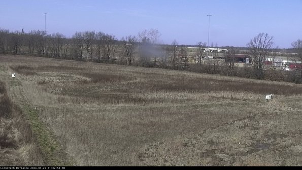 Cell 2_24-03-29_11-32-55-19