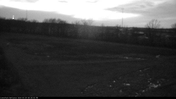 Cell 2_24-03-29_20-28-43-32