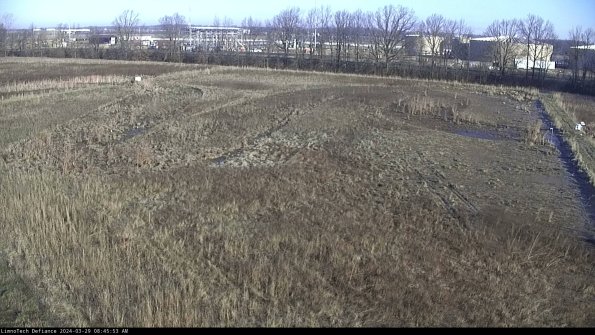 Cell 3_24-03-29_08-45-54-39