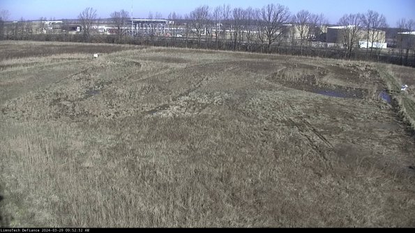 Cell 3_24-03-29_09-52-53-39